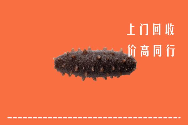 赣州市会昌回收海参