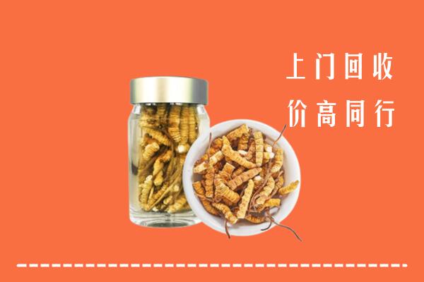 收购行情：赣州市会昌回收冬虫夏草
